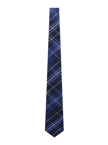 Navy/Powder Blue/White Plaid Tie