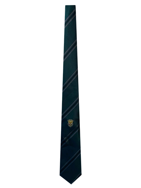 Green with Silver/Black Stripes Woven School Tie