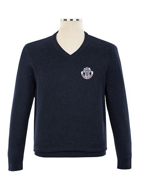 V-Neck Embroidered Pullover